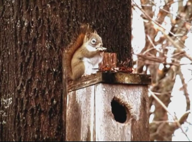 Thumbnail image for Herships and Hill - I Don't Break for Heartache