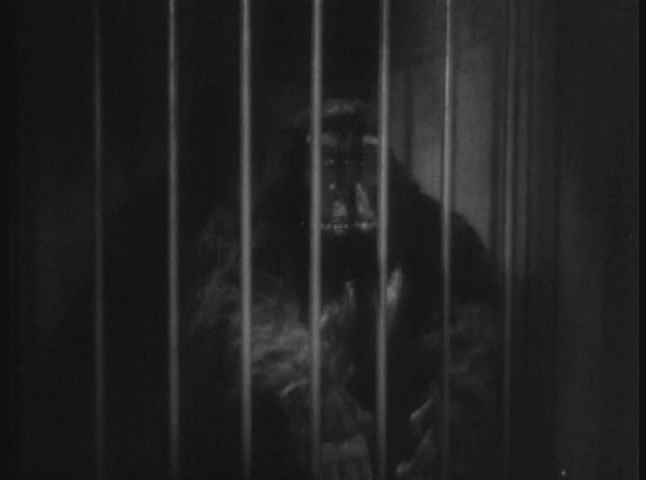 Thumbnail image for Saturday Fright Special -  The Ape Man