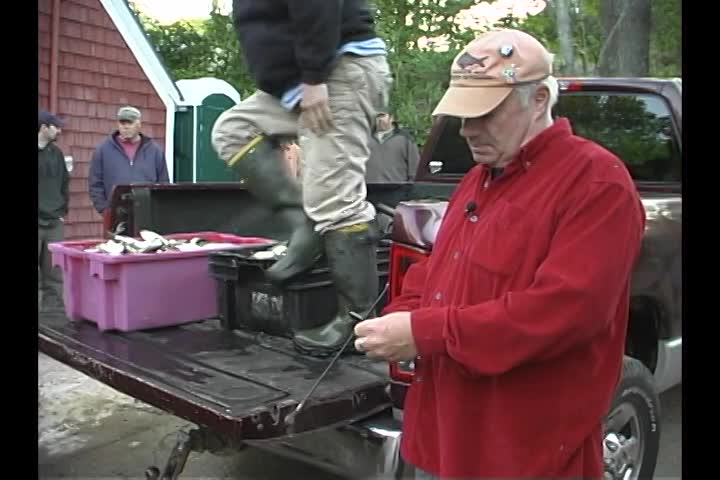 Thumbnail image for Wuzzup Classic - Ale Wife's