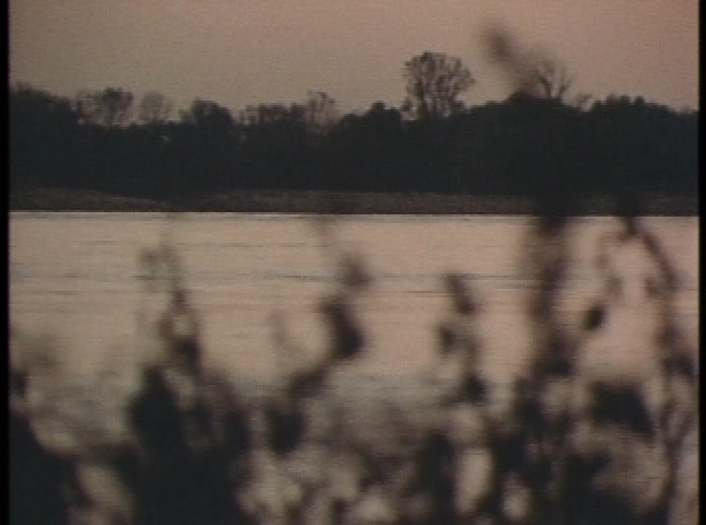 John James Audubon - The Birds of America - American Art - National Gallery