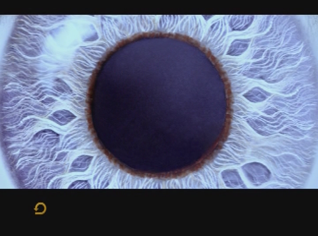 Thumbnail image for Color Vision - Seeing Color - National Gallery