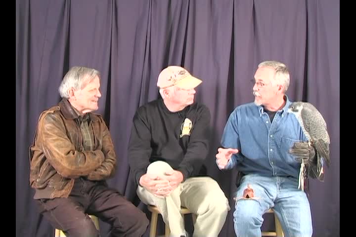 Thumbnail image for Wuzzup Classic - Falconry