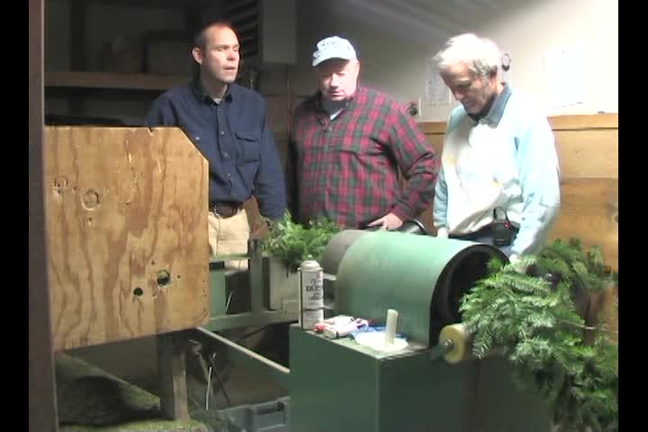 Thumbnail image for Wuzzup Classic - Evergreen Farms