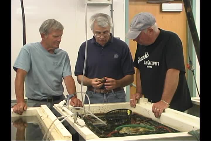 Thumbnail image for Wuzzup Classic - Darling Marine Center