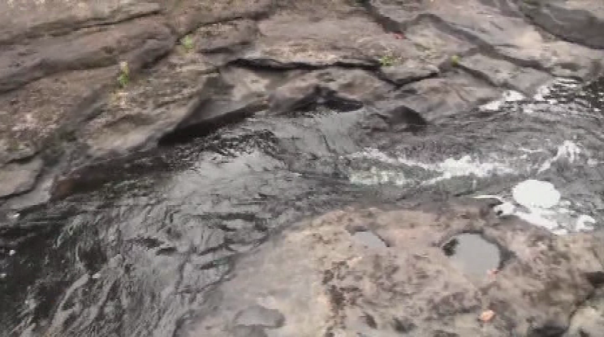 Thumbnail image for Campaign for Pemaquid Mill- PSA