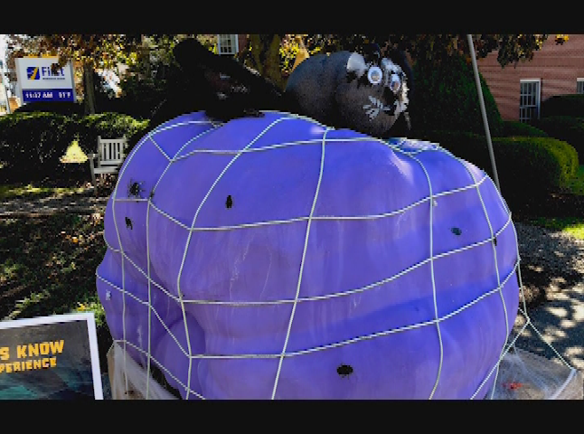 Thumbnail image for Pumpkin Fest Pumpkin Art 2018