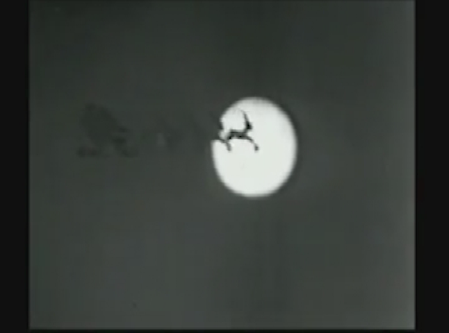 Thumbnail image for Hardrock, Coco and Joe