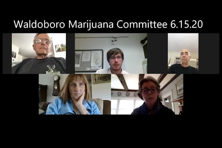 Thumbnail image for Waldoboro Marijuana Comm. -  June 15, 2020