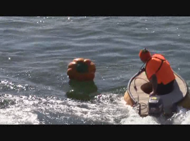 Thumbnail image for Pumpkinfest Regatta 2015