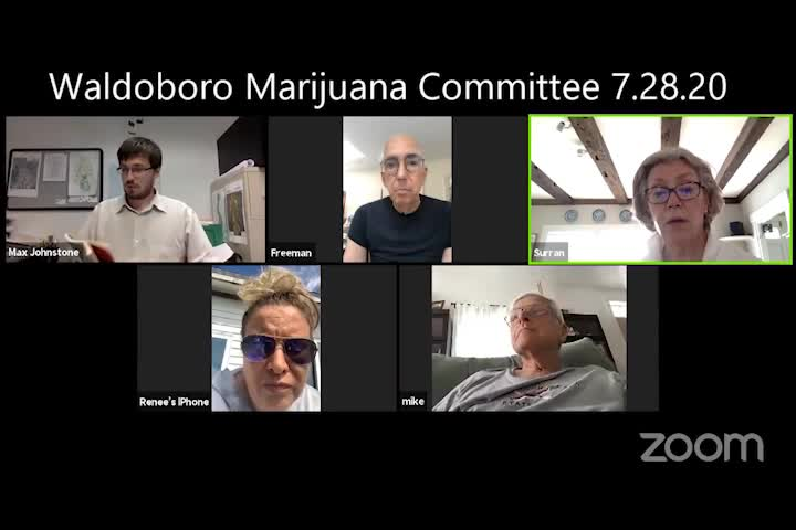 Thumbnail image for Waldoboro Marijuana Committee - July 28, 2020