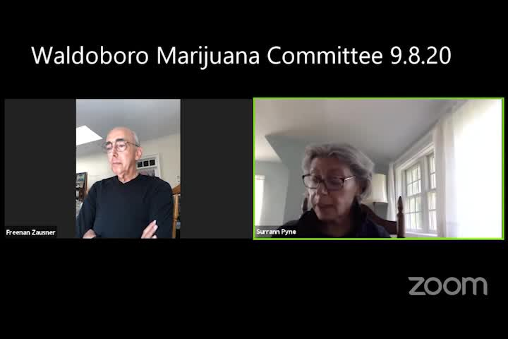 Thumbnail image for Waldoboro Marijuana Committee -  September 8, 2020
