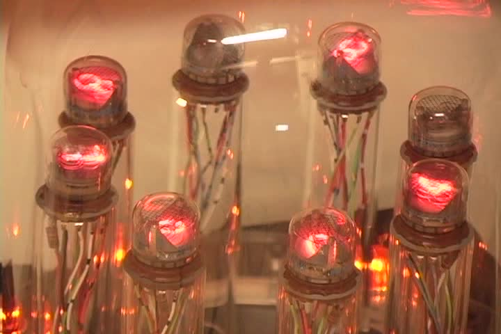 Thumbnail image for People and Places in Maine - Guy Marsden the Inventor