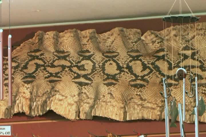 Thumbnail image for The Childrens Corner - Season 3 Episode 36 - Nuts n Stuff