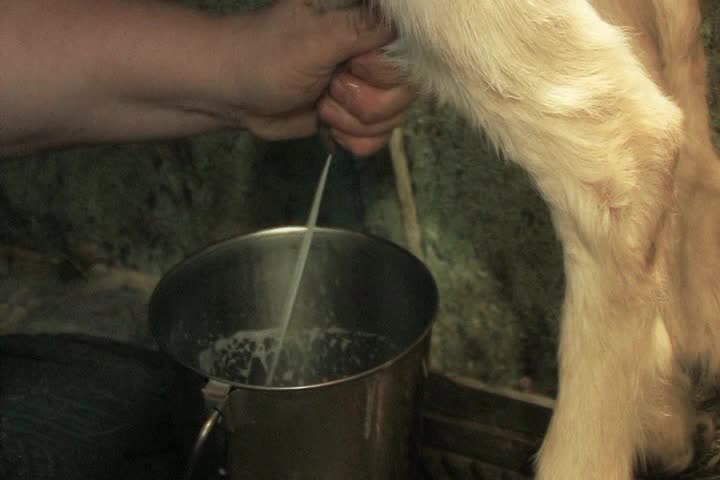 Thumbnail image for The Childrens Corner - Season 3 Episode 46 - Bleu Cheese Cabin