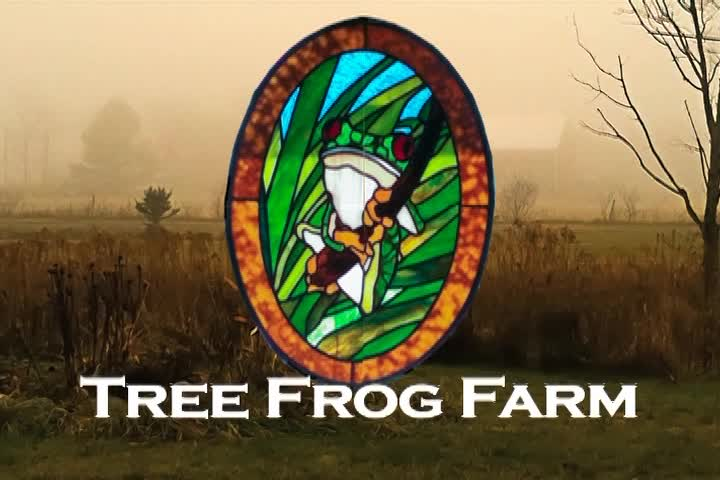 Thumbnail image for People and Places in Maine - Treefrog Farm