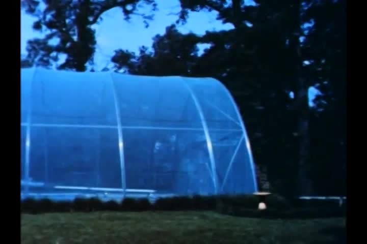 Thumbnail image for Curse of The Swamp Creature (1966)