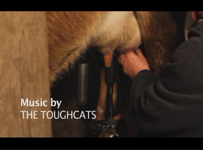 Thumbnail image for You Wanted to Be a Farmer