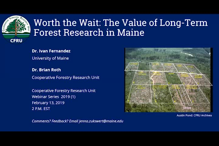 Thumbnail image for Worth the Wait The Value of Long-Term Forest Research in Maine (CFRU 2019 webinar series #1)