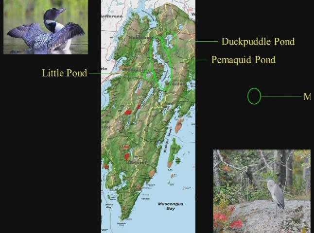 Thumbnail image for PWA Overview