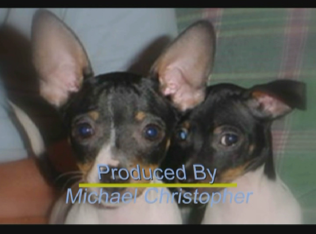 Thumbnail image for Wuzzup Classic - Recycled Art with Nathan Nichols