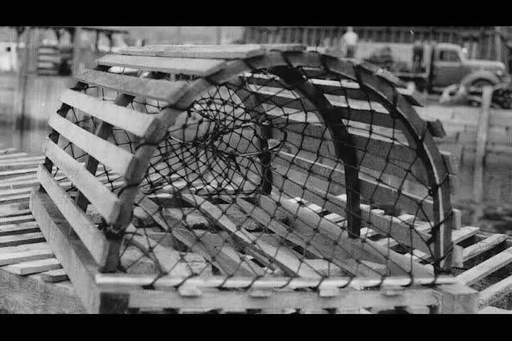 Thumbnail image for Conversations with The Lobster Lady