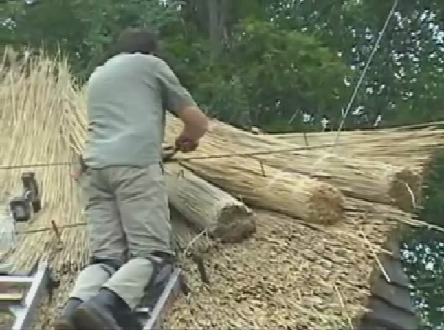 Thumbnail image for Thatching