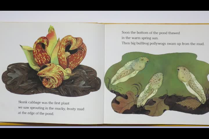 Thumbnail image for Between The Bookends - Episode 11