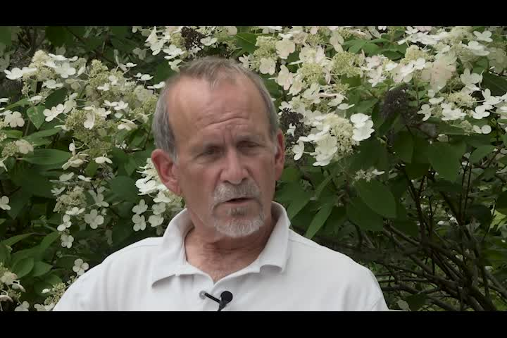 Thumbnail image for Chamber Chat - July 28, 2021 - Schoonerfest and Art Walk