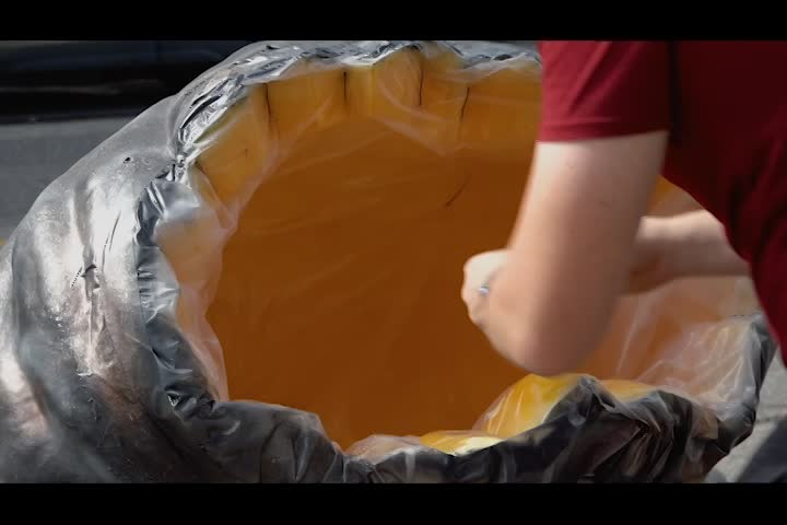 Thumbnail image for Damariscotta Pumpkinfest & Regatta 2022