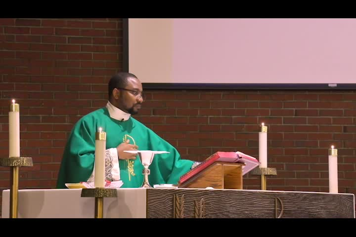 Thumbnail image for All Saints Parish - Sunday Mass - November 13, 2022