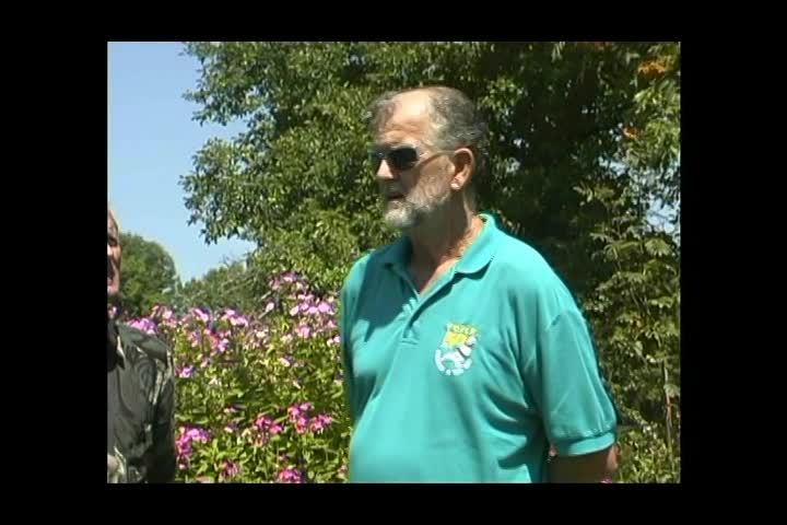 Thumbnail image for Wuzzup Classic - Racing Pigeons