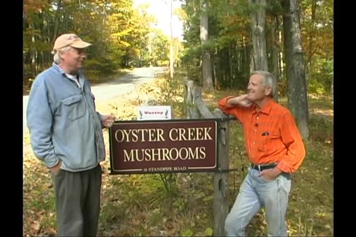 Thumbnail image for Wuzzup Classic - Mushrooms