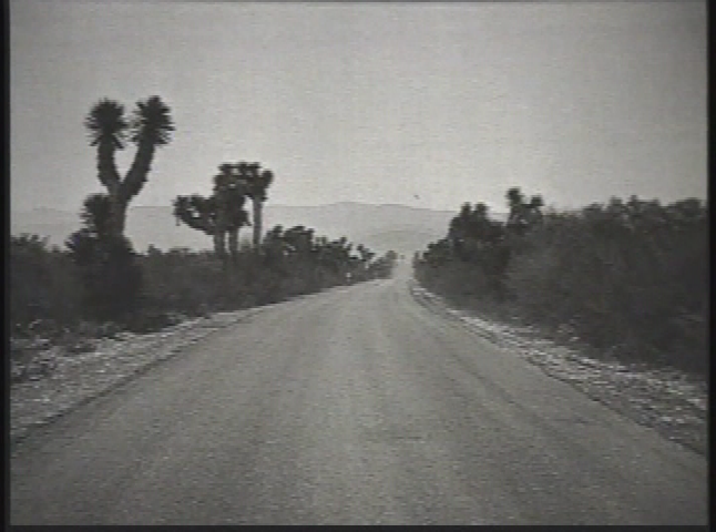 Thumbnail image for  From the Back Alleys to the Supreme Court and Beyond - Motherhood by Choice