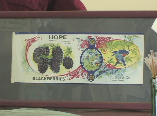 Thumbnail image for Wuzzup Classic - Salt Bay Art Supply