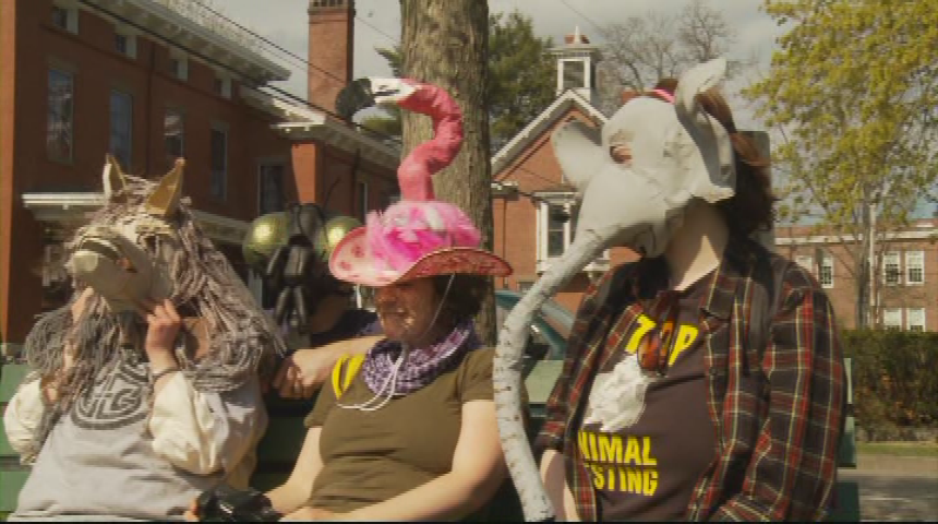 Thumbnail image for I Dream The Colors