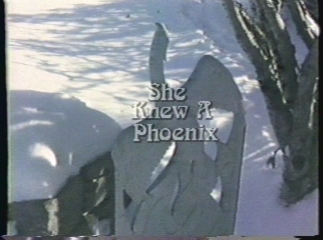 Thumbnail image for May Sarton: She Knew A Phoenix