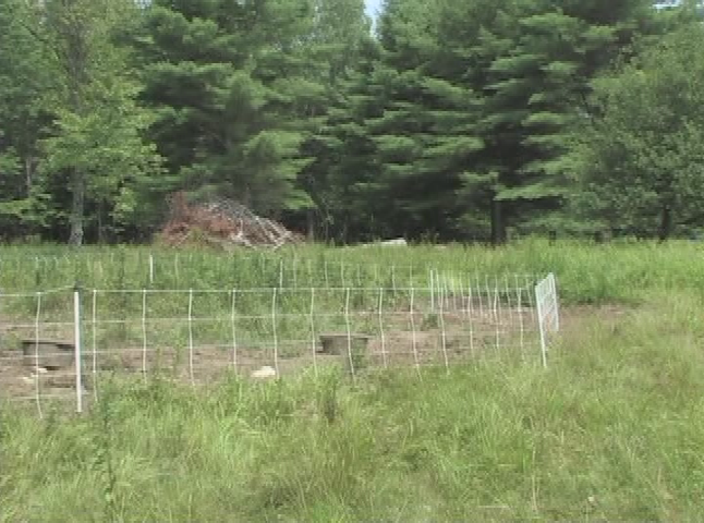 Thumbnail image for Wuzzup Classic - Barred Owl Creamery at Hamilton Farm
