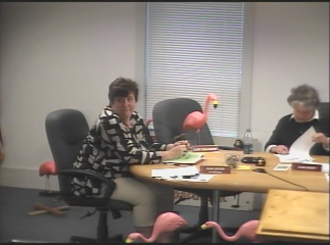 Thumbnail image for The Flocking of Julie